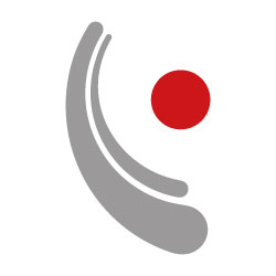 Capacitación de Excelencia